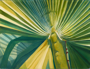 Image of Palm Patterns #75