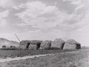 Image of Stacks of hay on farm. Cornish, Utah