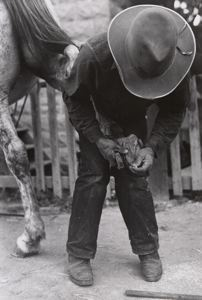 Image of Mormon farmer shoeing a horse, Santa Clara, Utah