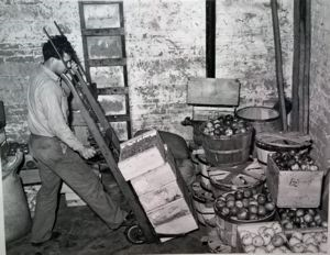 Image of Handling fruit in warehouse of produce warehouse. Santa Clara, Utah