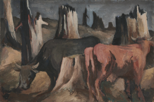 Image of Cows and Stumps