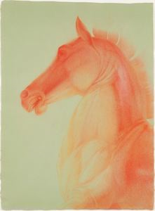 Image of A Venetian Horse
