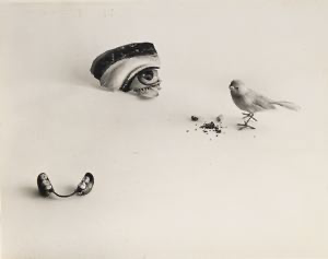 Image of Still Life with Eye
