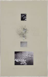 Image of Untitled (From Art and Technology)