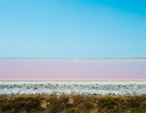 Image of Pink Salt Flat, Carmargue, Aries, France