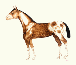 Image of Intermountain Inter-tribal Indian School Mural_03 (Horse)