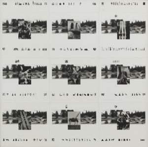 Image of Horns (Tuolumne River, Berman Series)