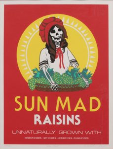 Image of Sun-Mad Raisins