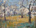 Image of Prile's Cherry Orchard