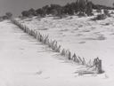 Image of Snow fence. Summit County, Utah