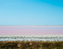 Image of Pink Salt Flat, Carmargue, Aries, France