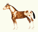 Image of Intermountain Inter-tribal Indian School Mural_03 (Horse)