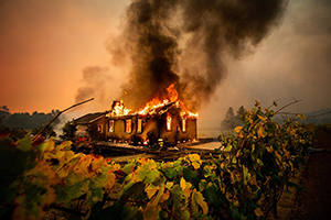 Thumbnail image of Facing Fire: Art, Wildfire, and the End of Nature in the West